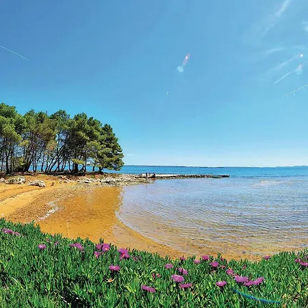 1 Bedroom Awesome In Apartman